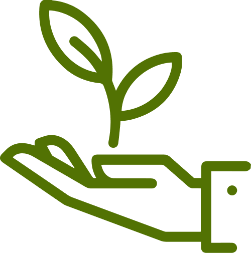 B-Air, logo empresa verde